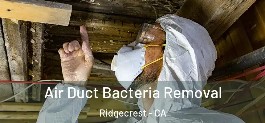  Air Duct Bacteria Removal Ridgecrest - CA