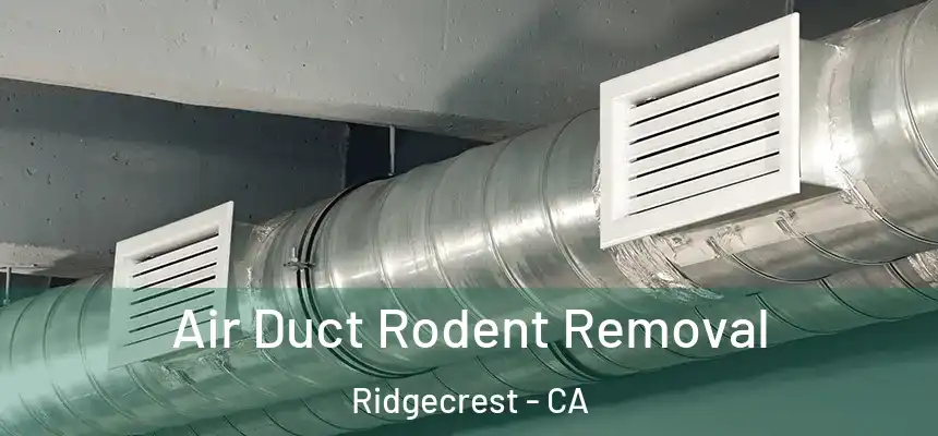  Air Duct Rodent Removal Ridgecrest - CA