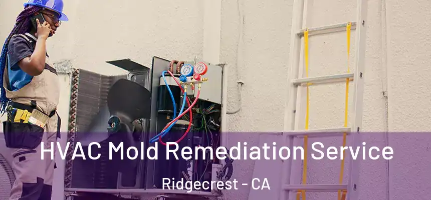  HVAC Mold Remediation Service Ridgecrest - CA