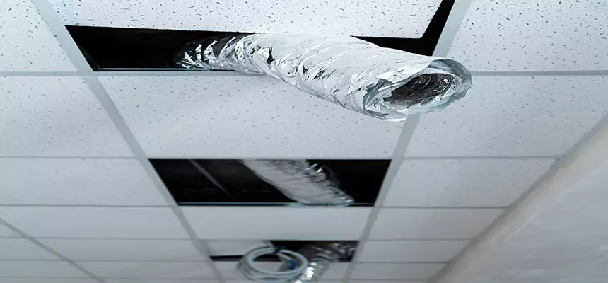 Affordable HVAC Sanitizing After Pest Removal in Ridgecrest