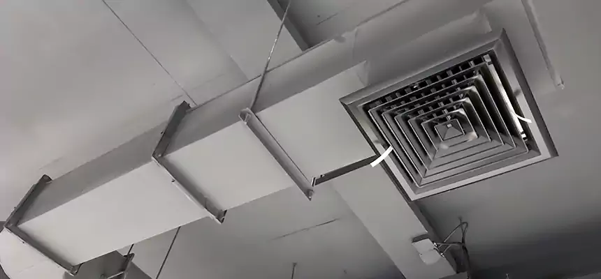 Our Pest Removal From Ducts Services in Ridgecrest, CA