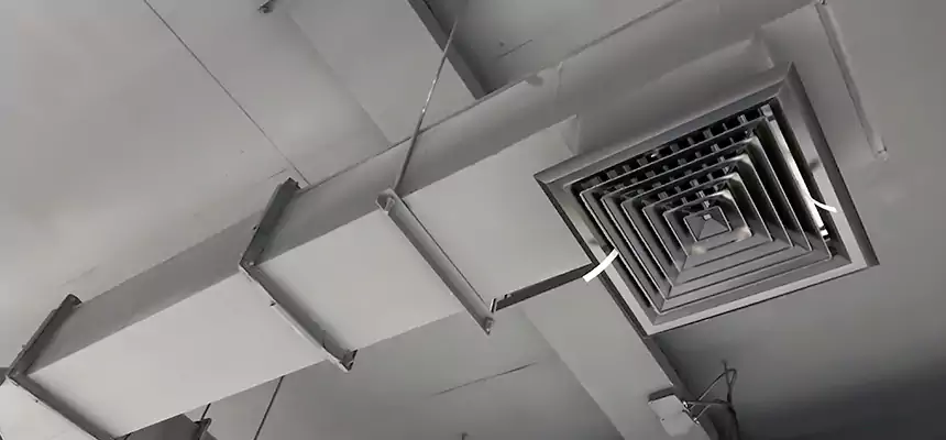 Our Rodent Droppings In Vents Services in Ridgecrest, CA