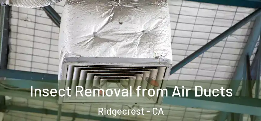  Insect Removal from Air Ducts Ridgecrest - CA