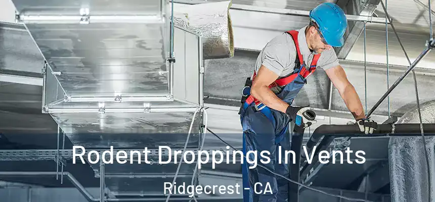  Rodent Droppings In Vents Ridgecrest - CA