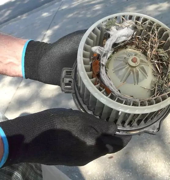 About Air Duct Mice Removal in Ridgecrest, CA