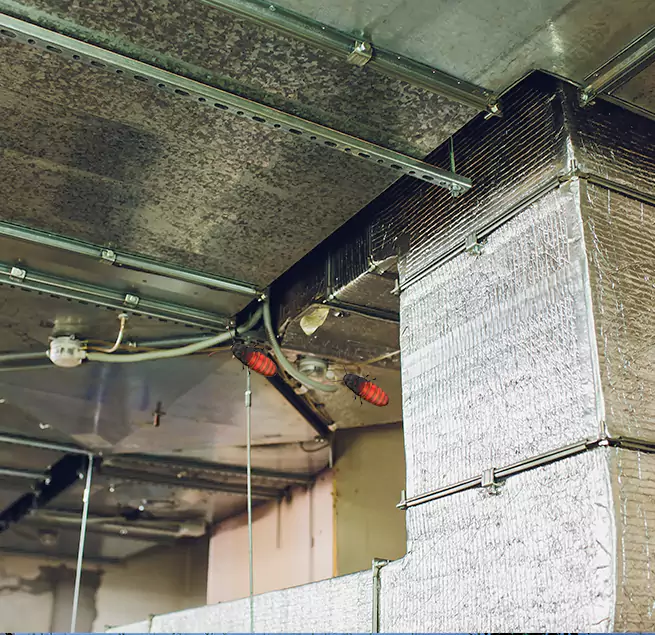 Why Homeowners & Businesses Trust Us in Ridgecrest, CA?