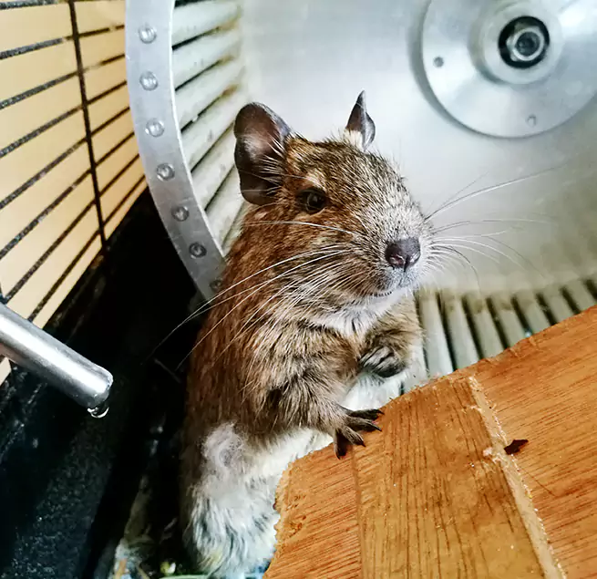 Why Homeowners & Businesses Trust Us Ridgecrest, CA?